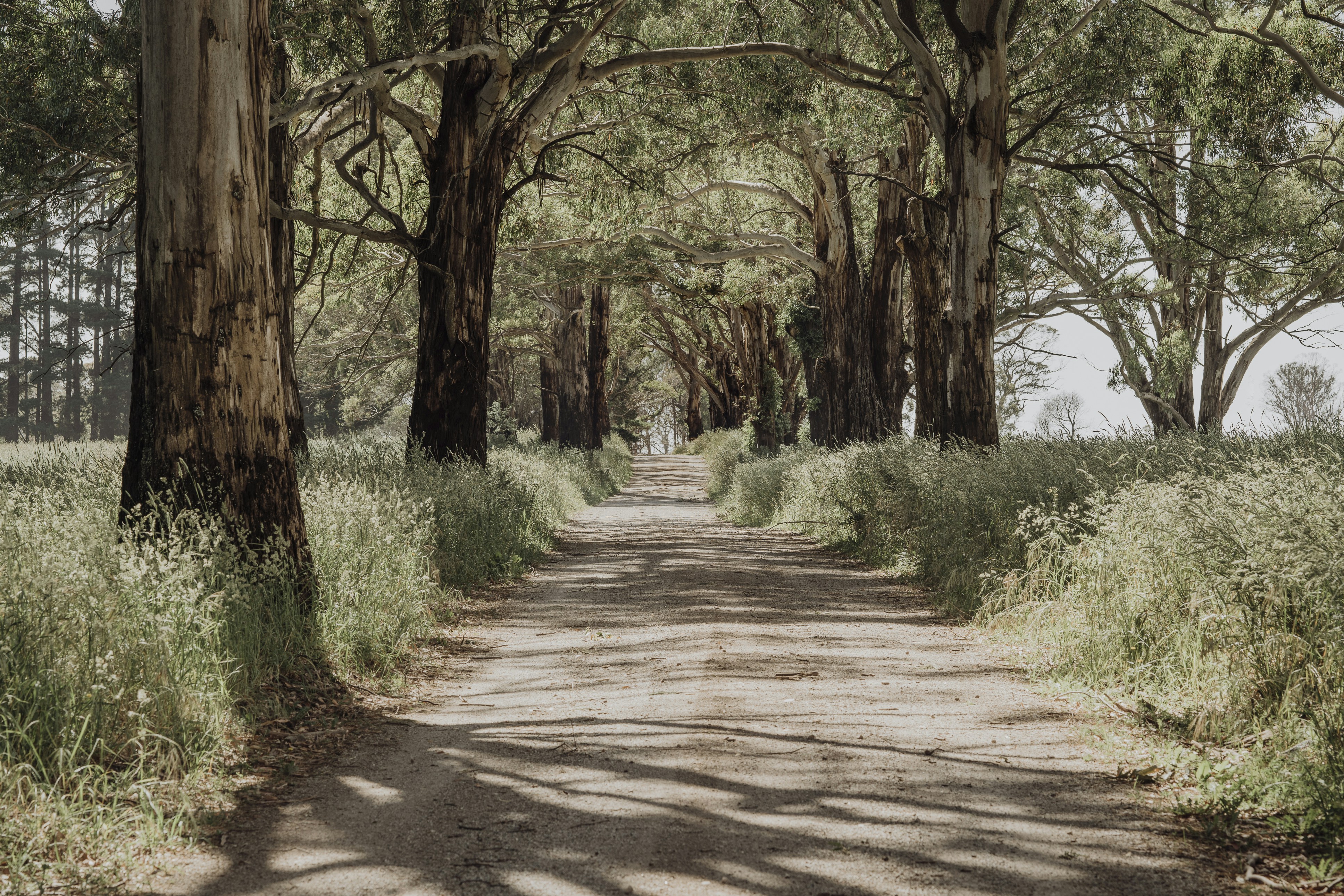 Photo by nerissa_j_photography