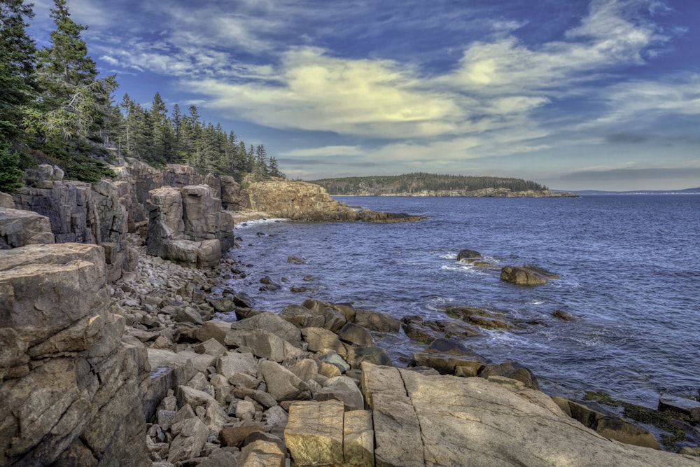a rocky shore with a body of water and trees