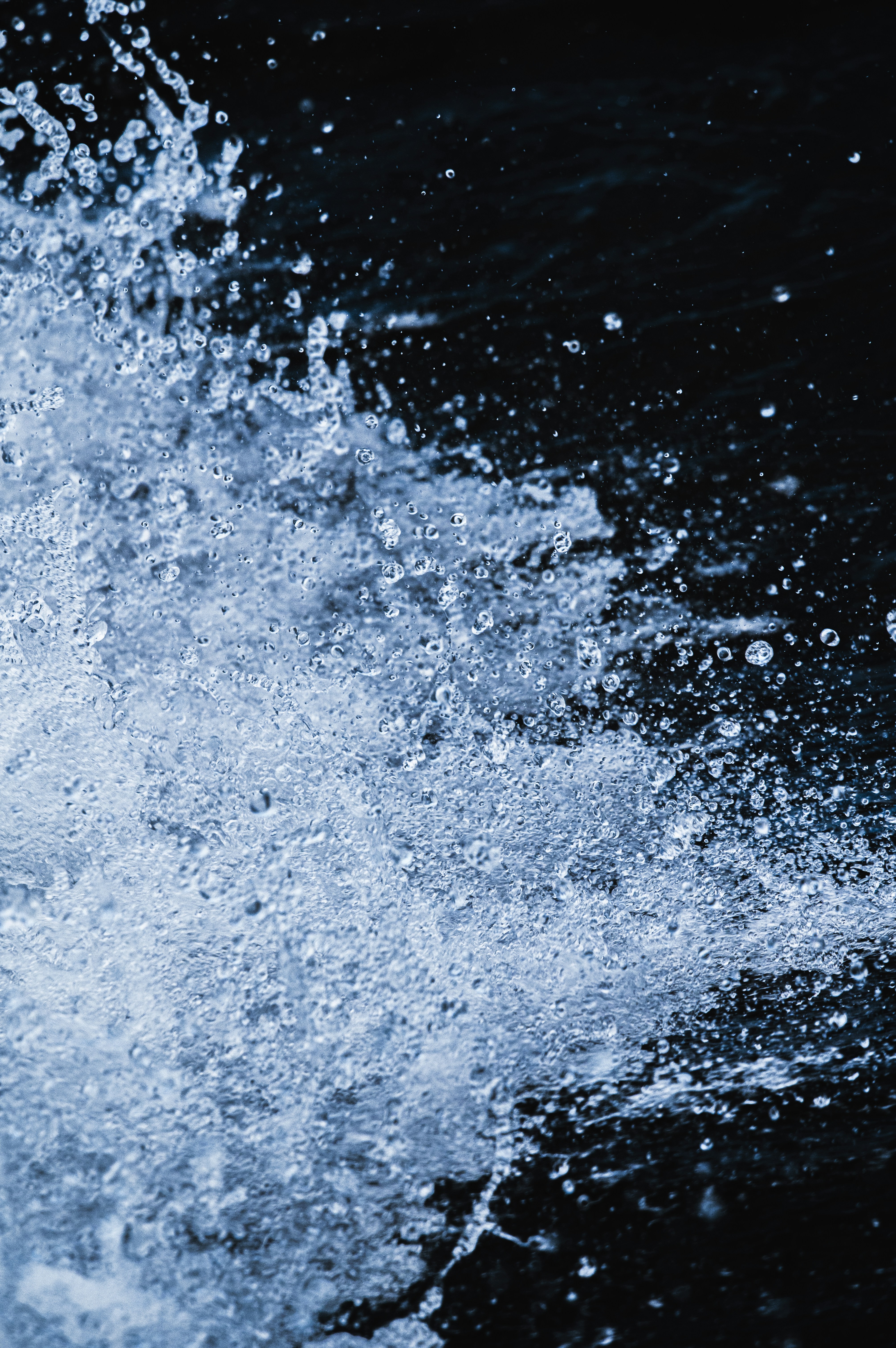 Photo by ryunosuke_kikuno