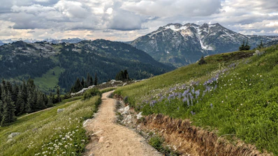 a dirt road going up a grassy hill with mountains in the background