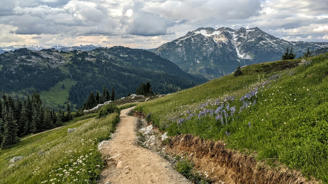 Lost Trail