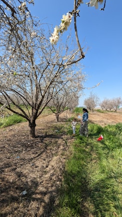 A mother and child picking apples together in an orchard