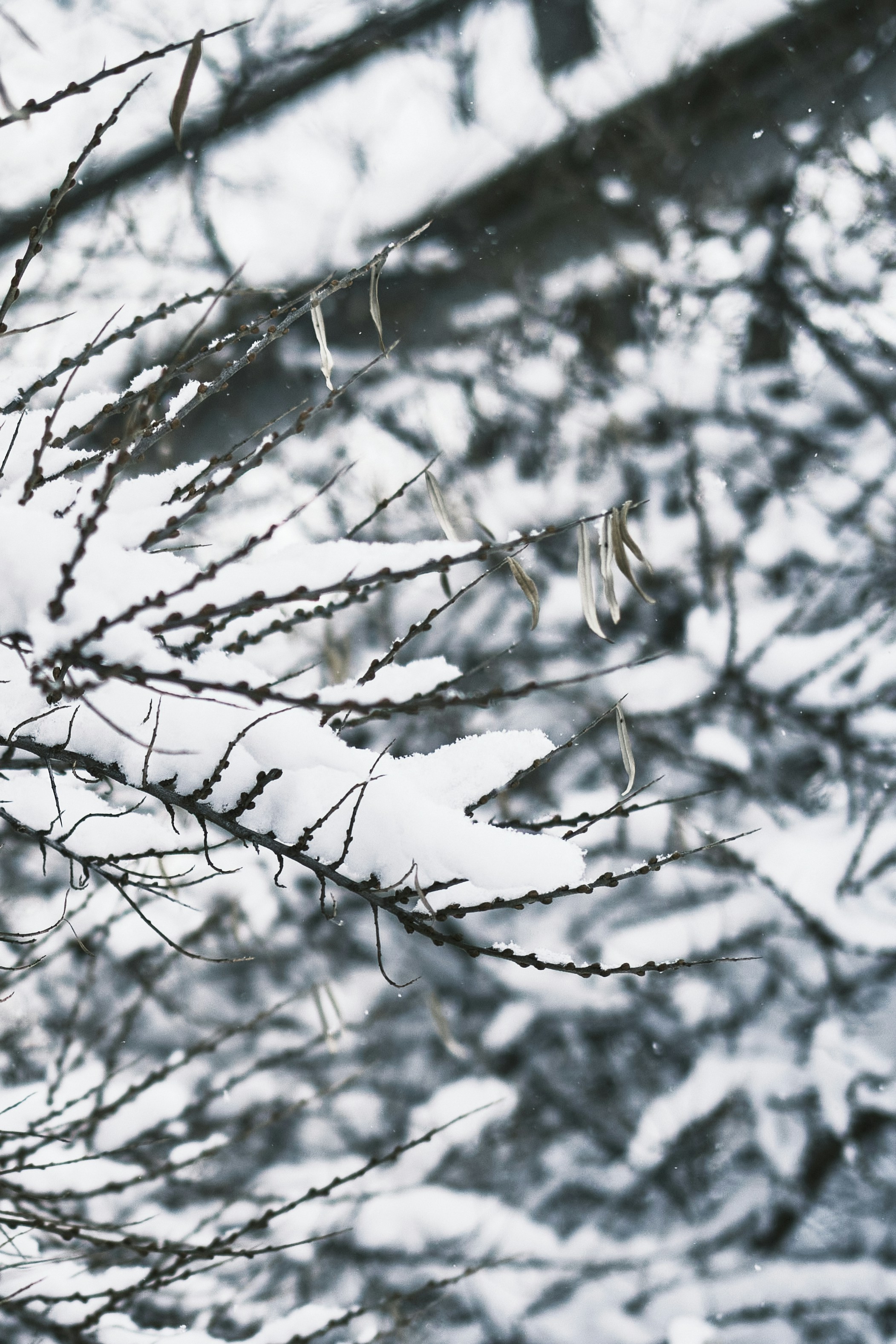 Photo by kazusaki_sagar