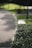 A landscaper carefully trimming bushes along a brick walkway in a sunny garden.