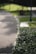 A landscaper carefully trimming bushes along a brick walkway in a sunny garden.