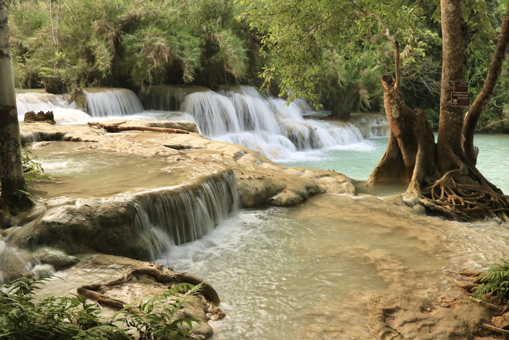 a small waterfall in the middle of a forest