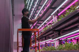 A farmer using a tablet to monitor AI crop planning dashboards in a greenhouse.