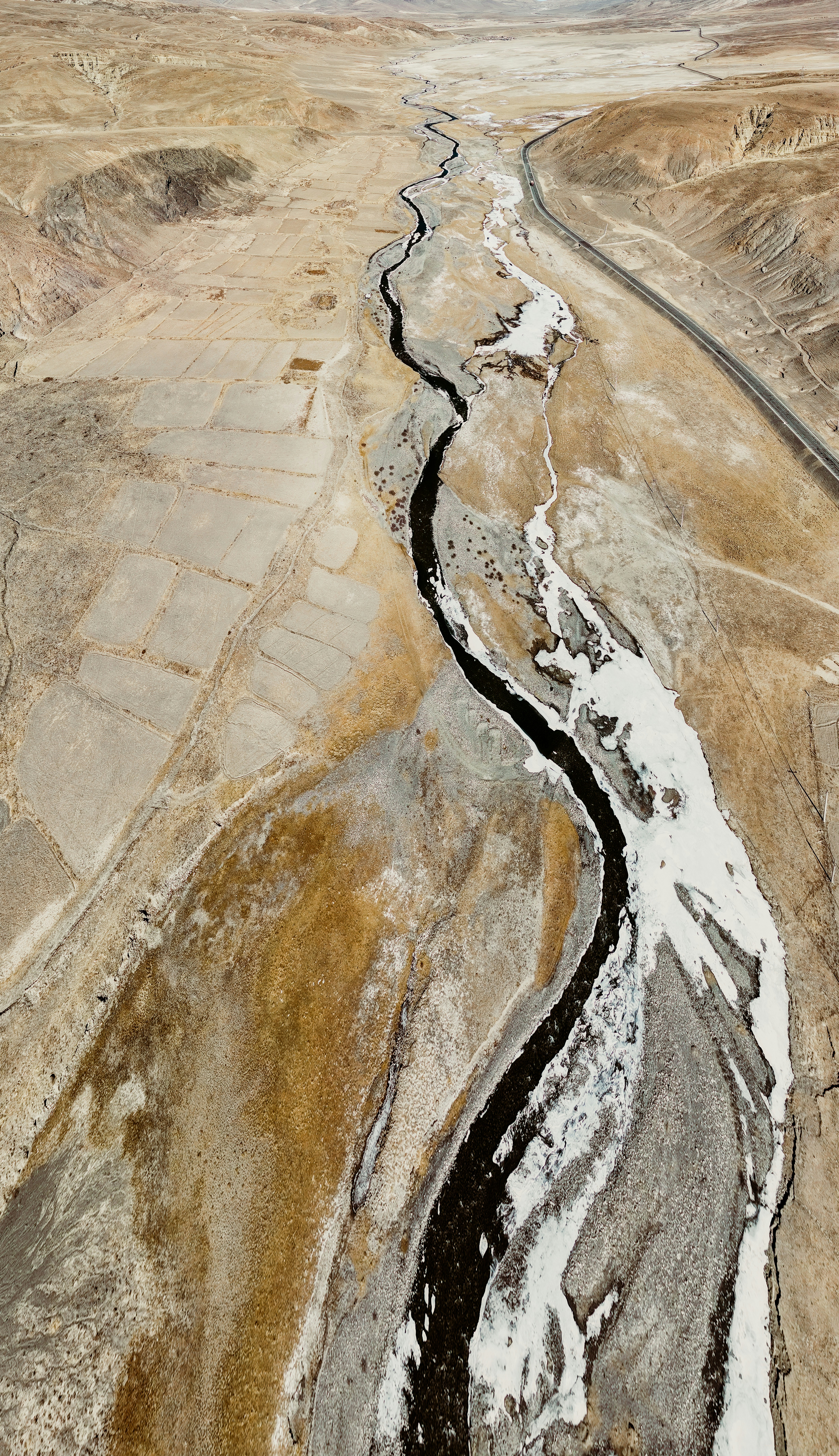 Photo by juniperphoton