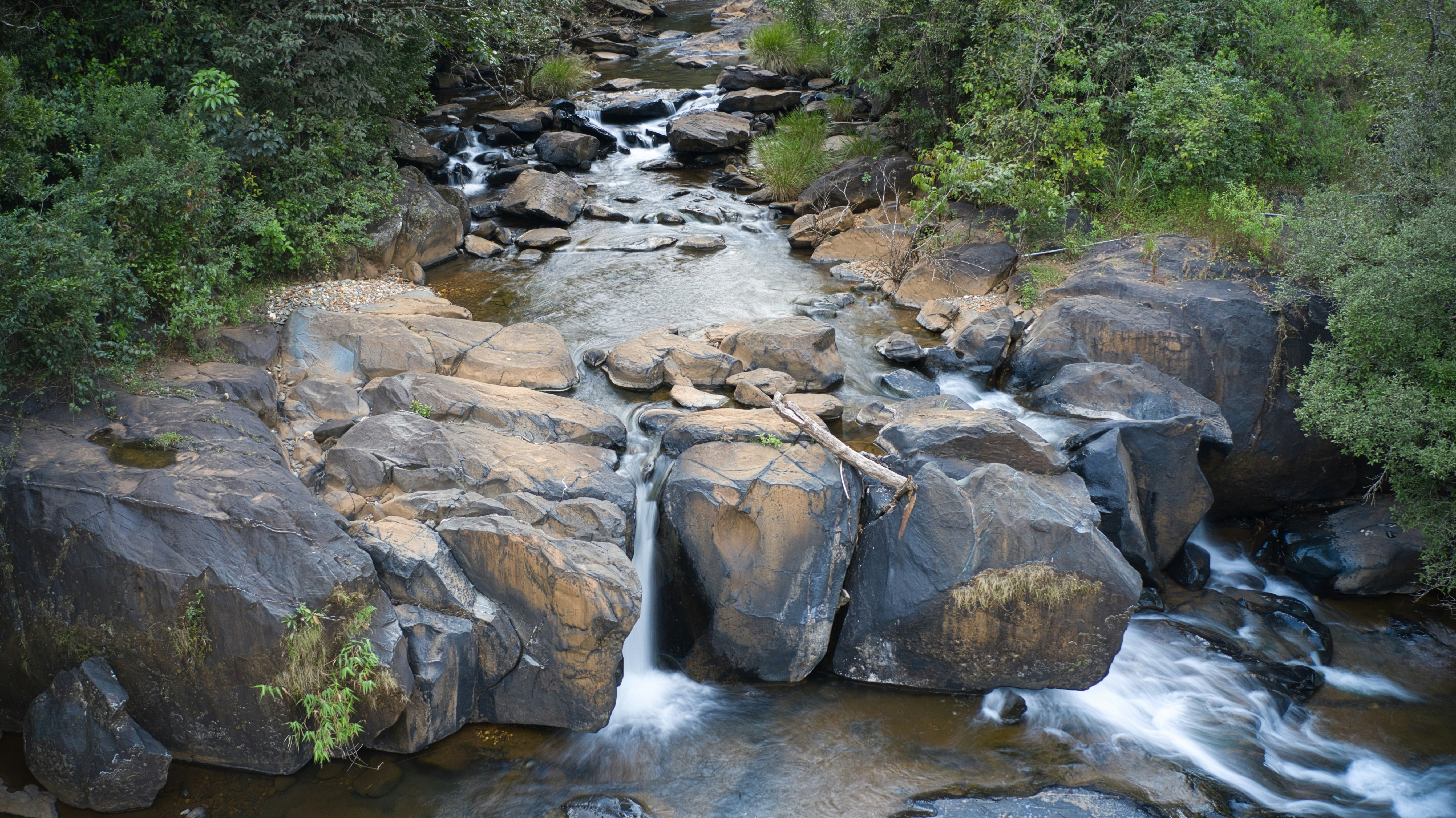 Photo by manofmysore1