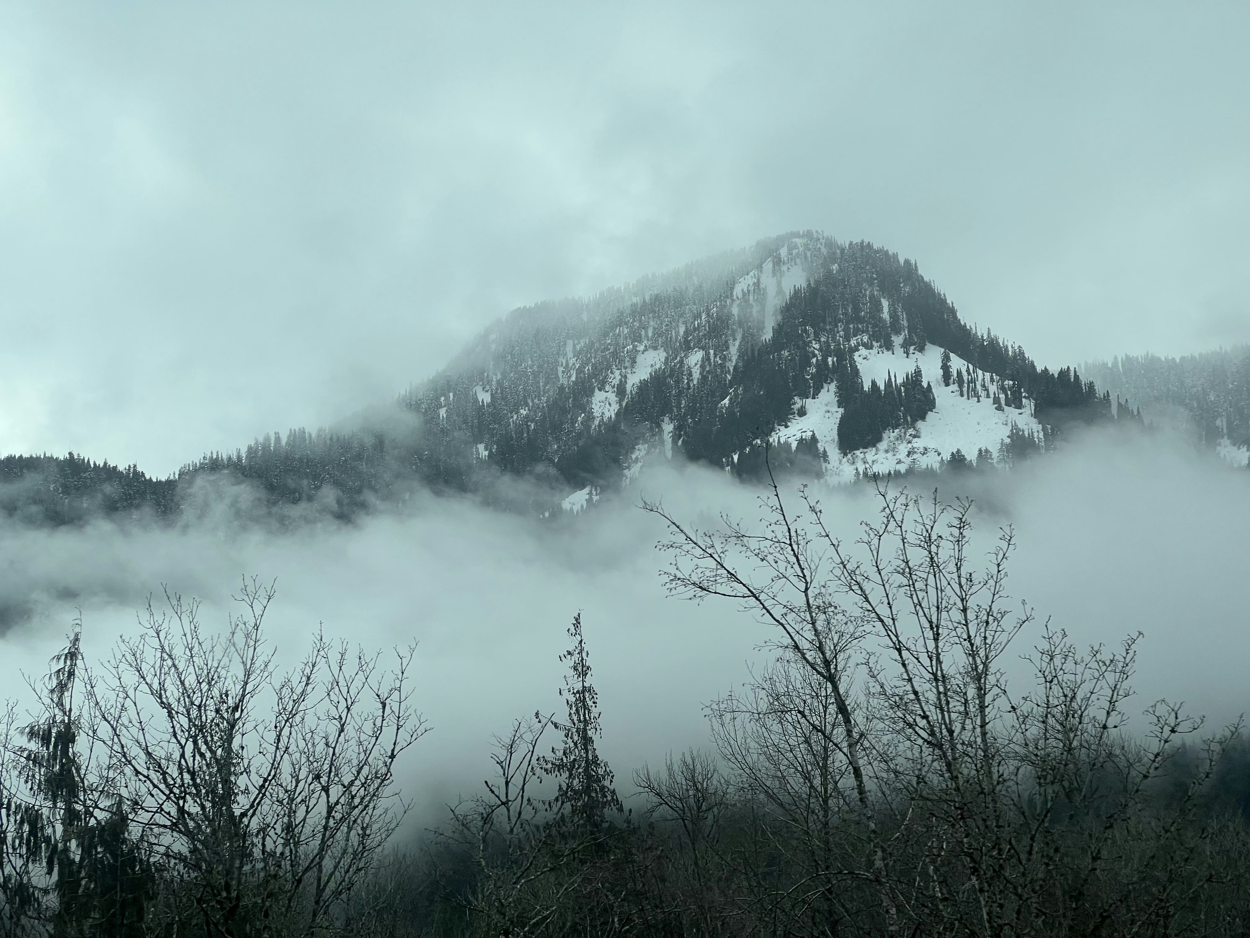 Une montagne couverte de brouillard avec des arbres au premier plan