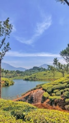 A scenic landscape featuring a serene body of water surrounded by lush, green tea plantations. Trees are scattered throughout the hills, and mountains can be seen in the background under a clear blue sky with wisps of clouds.