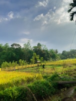 A lush green landscape with tribal farmers working in the fields.