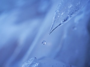 A close-up of a frozen droplet of water about to fall from a pointed icicle, set against a blurred background with a cool, blue tint.