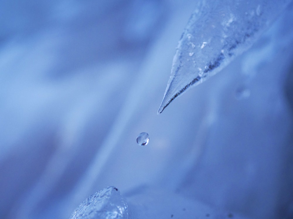 a close up of water droplets on a blue surface