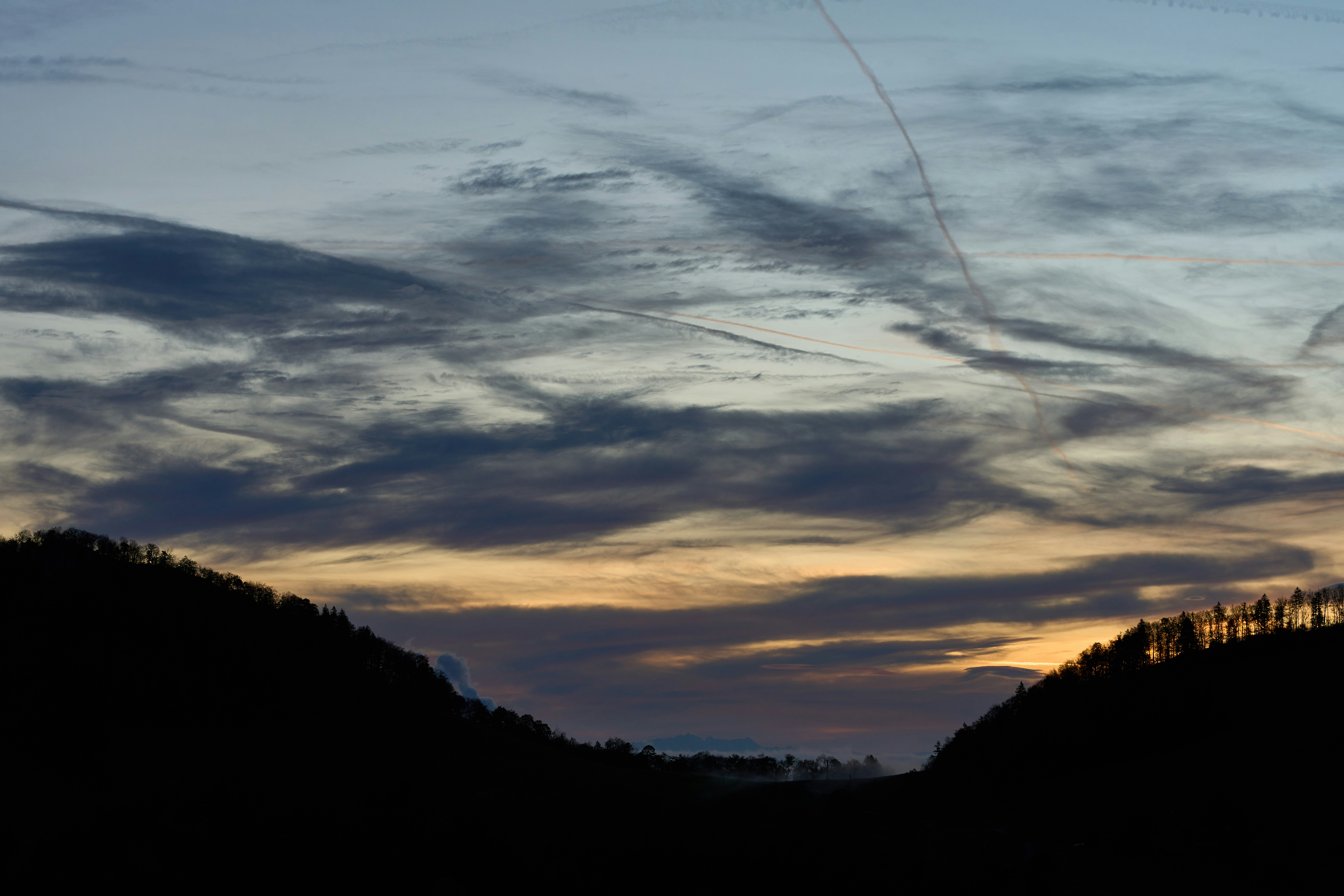 Photo by wolfgang_hasselmann