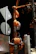 A utility pole is wrapped with several coils of thick orange cables. The cables are organized and bundled around the pole with gray clips. There are attached signs and a traffic light visible, suggesting it's an urban setup. The background is a dark night sky with some leafless tree branches partially visible.