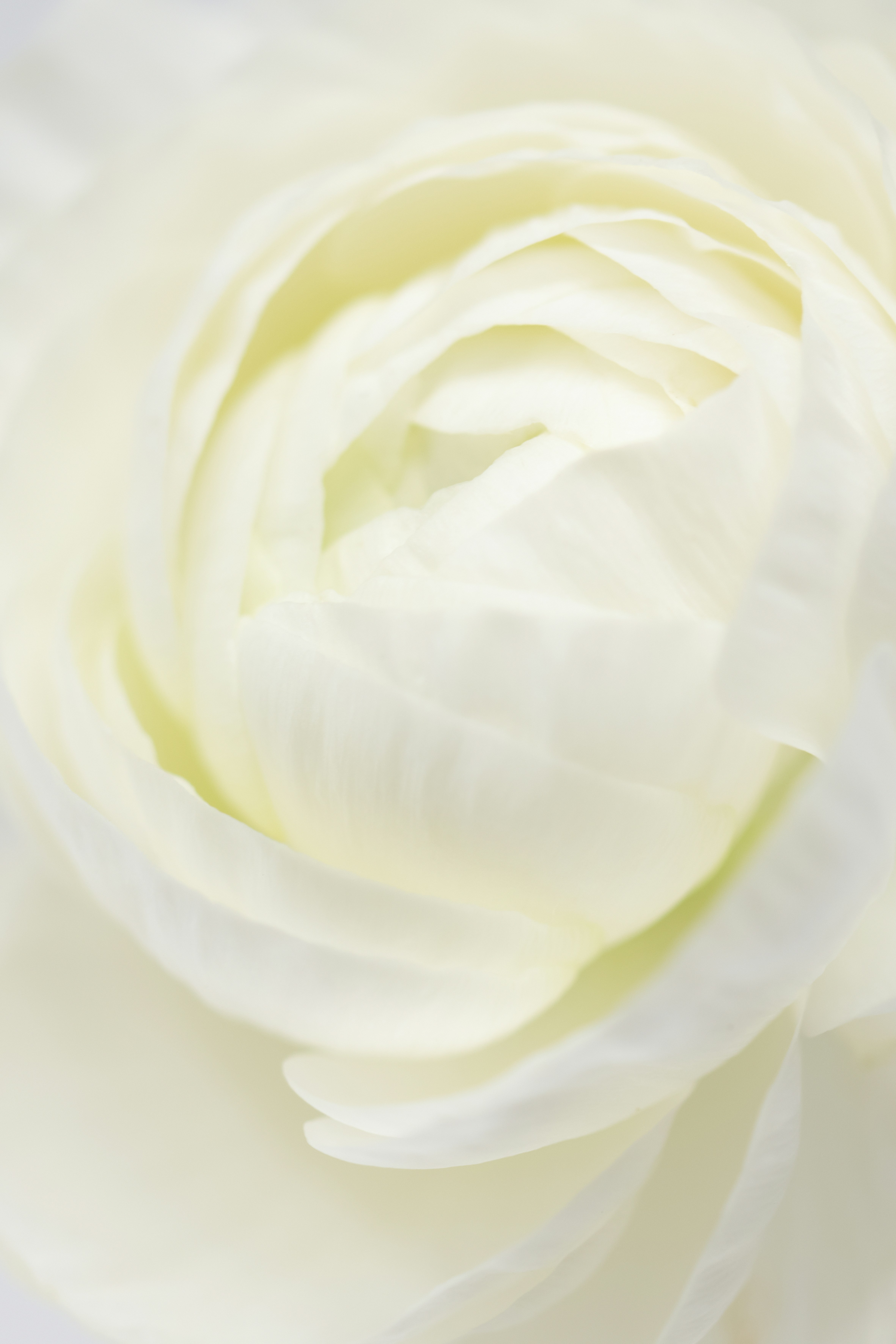 Photo by lauraadaiphoto