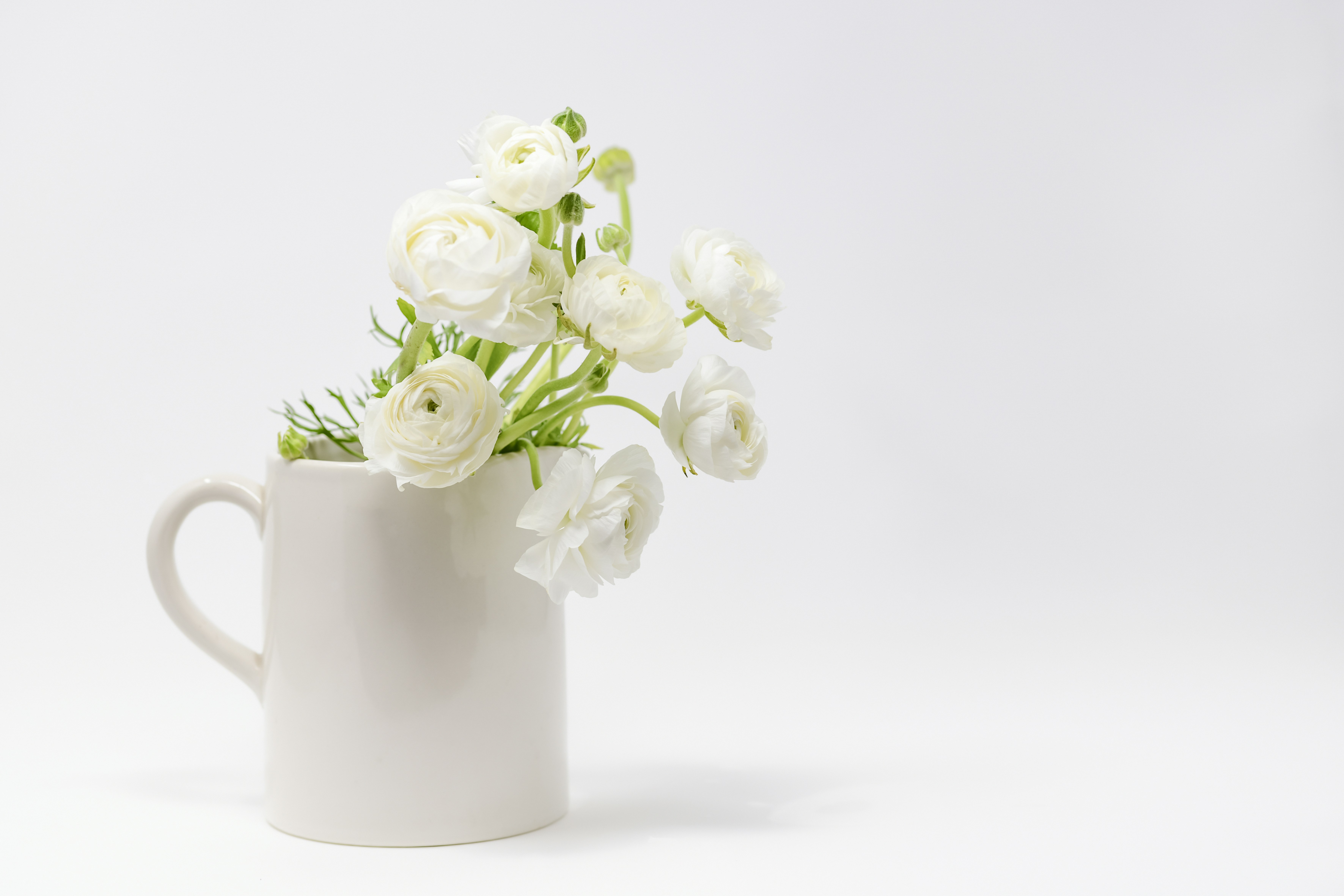 テーブルの上に白い花が入った白い花瓶の写真 – Unsplashの花の無料画像