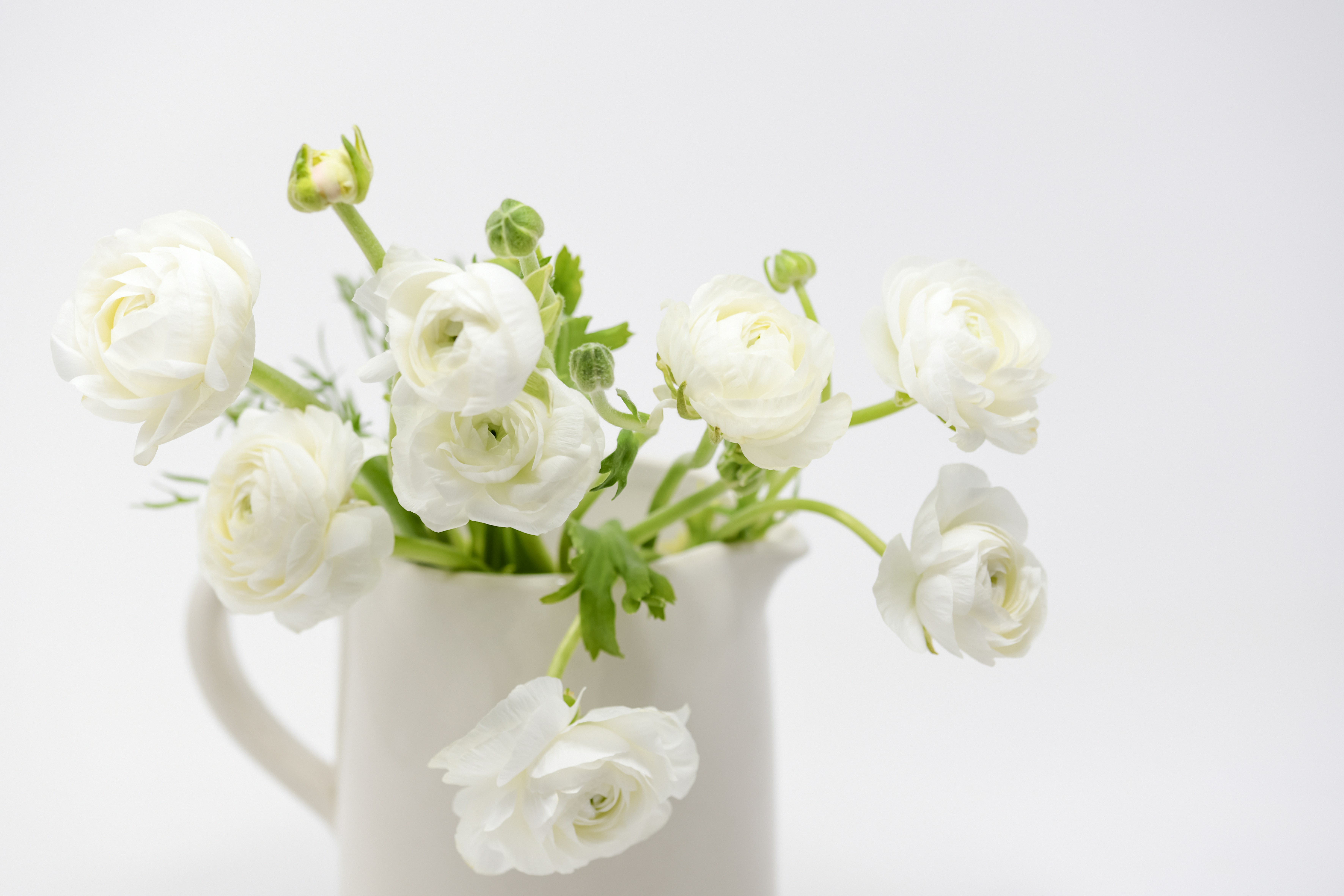 Photo by lauraadaiphoto