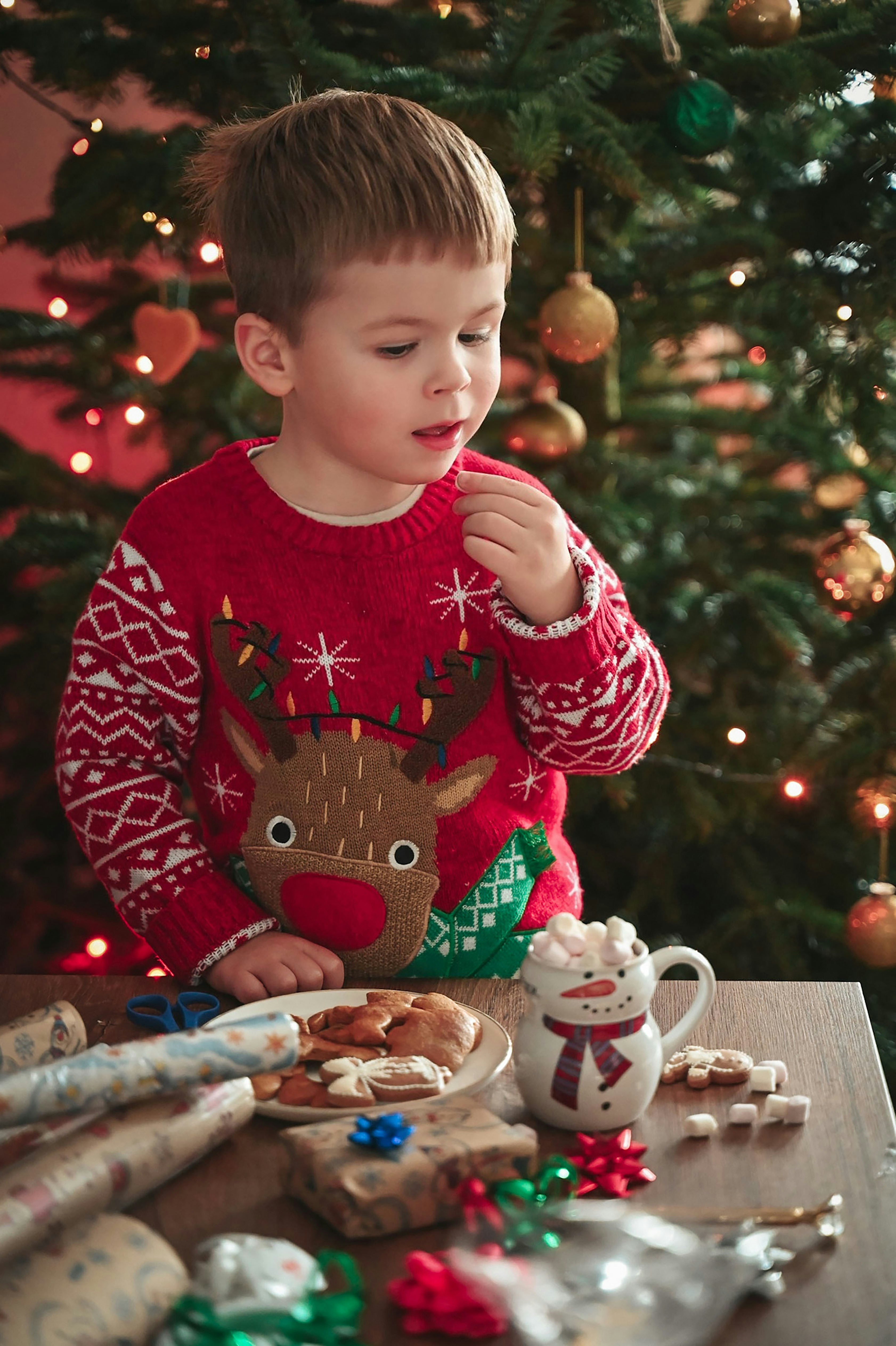 a young boy in a christmas sweater eating cookies