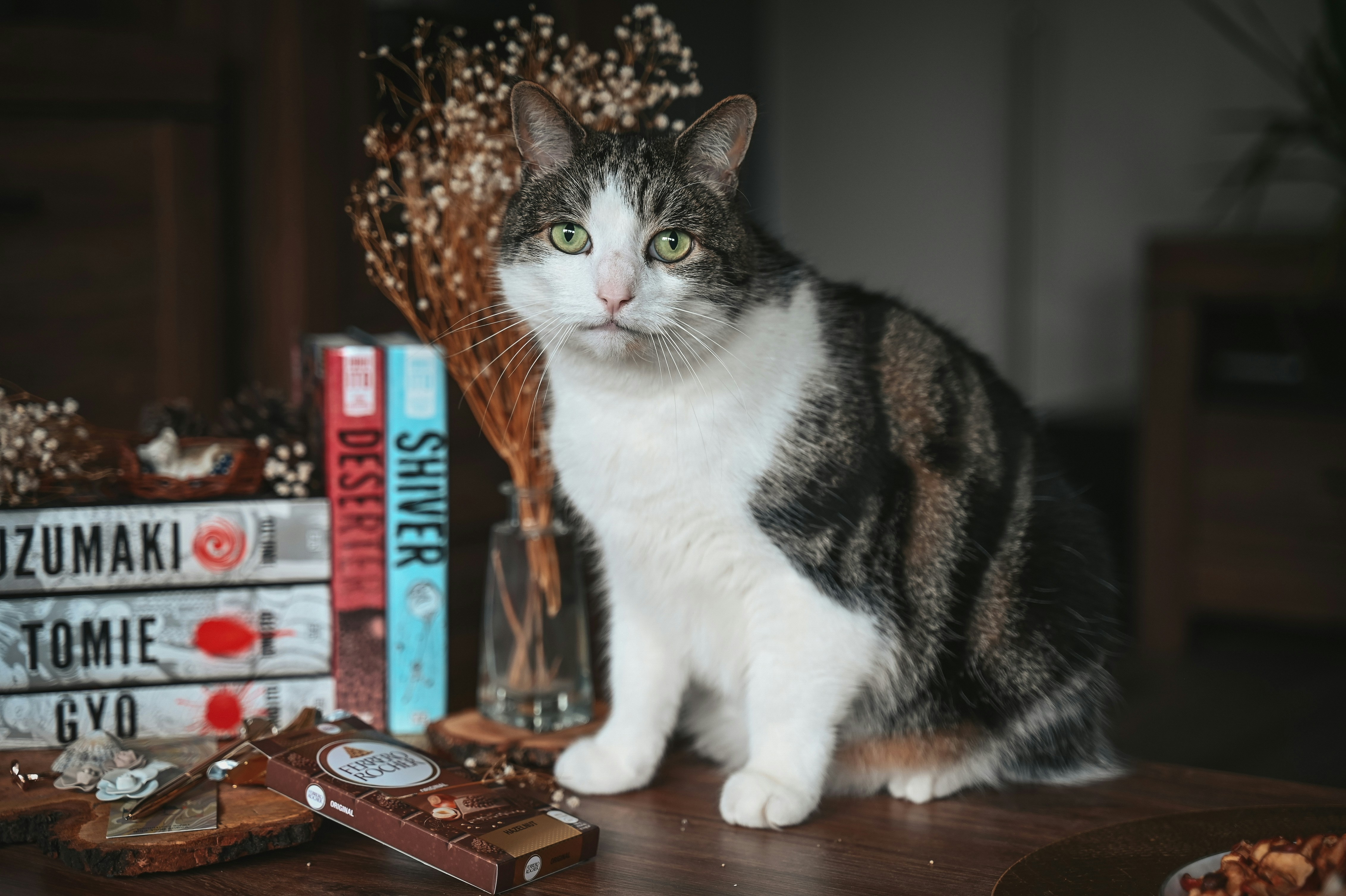 7 Best Cameras for Pet Photography as per Experts [ For All Skill Levels]