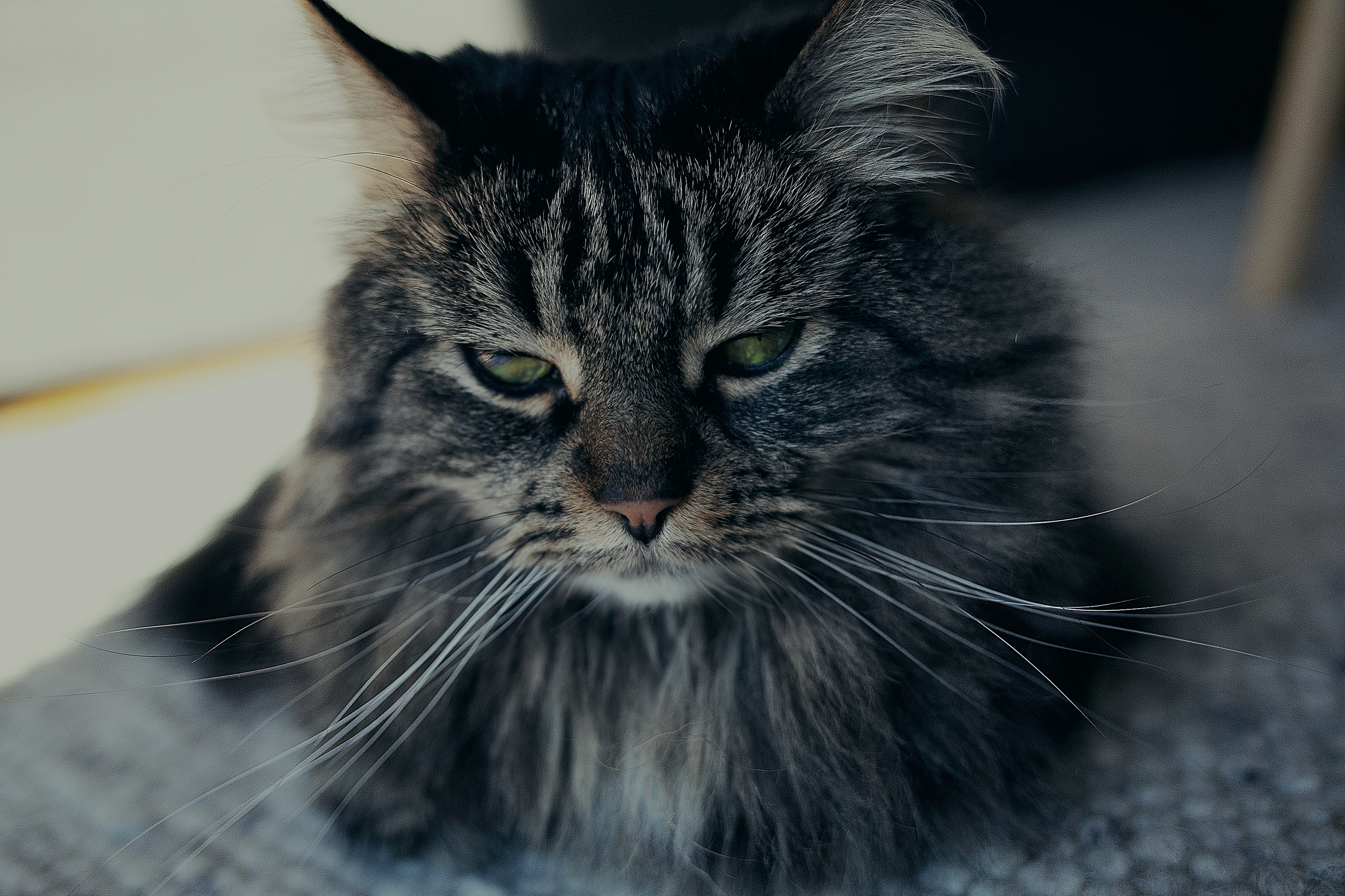 Face Planting: Yes, Literally Your Face (image credits: unsplash)