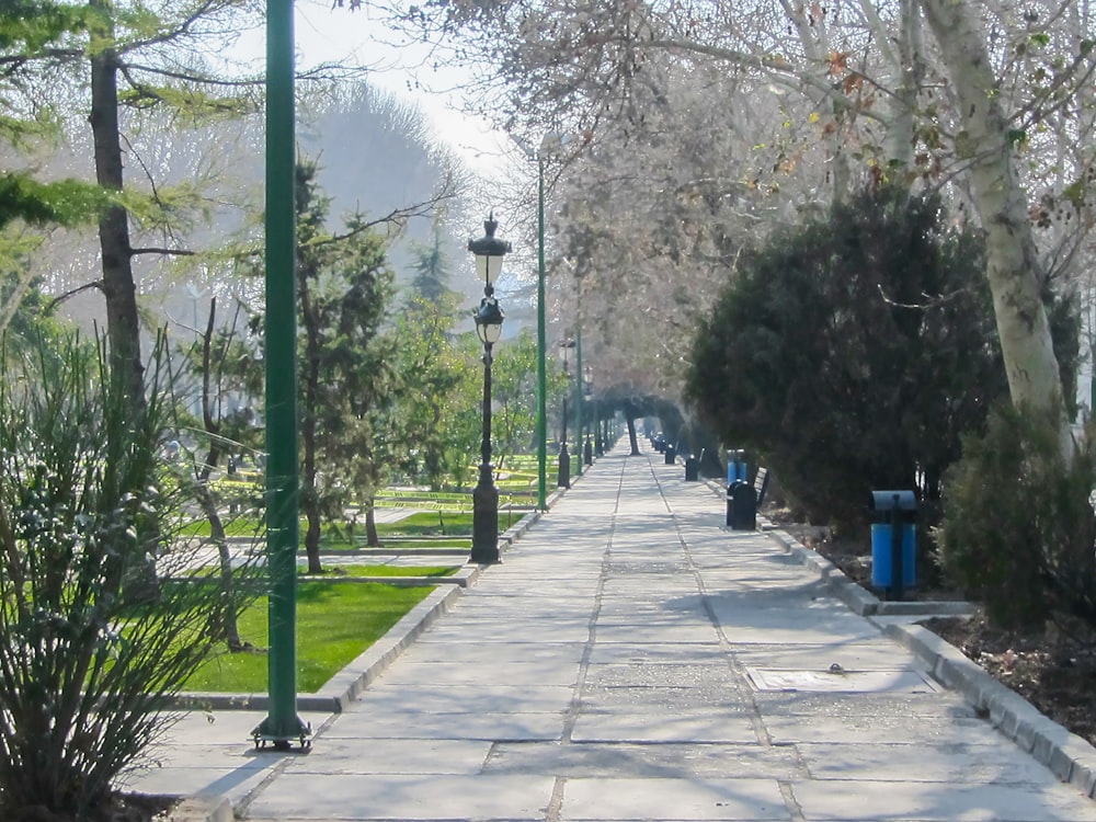 a sidewalk lined with lots of trees and bushes