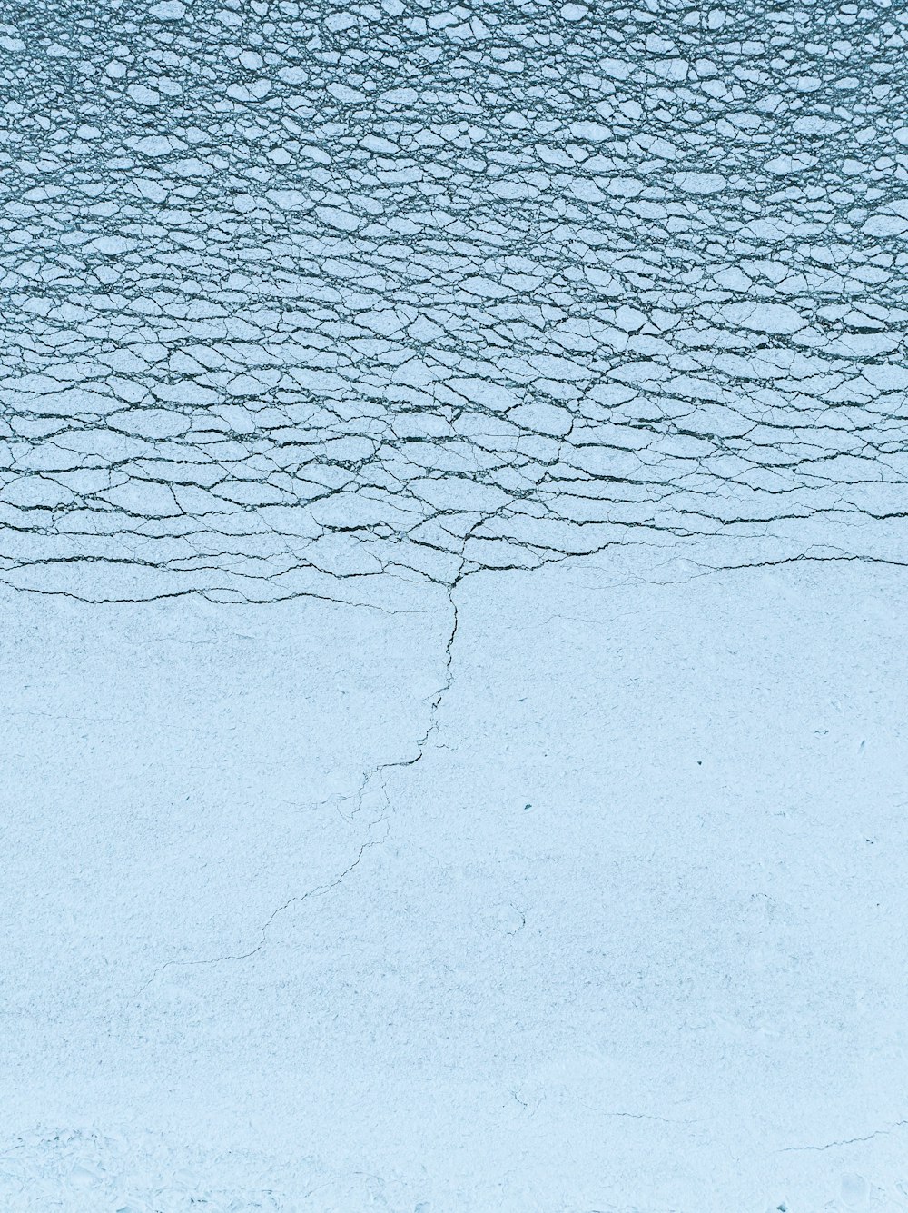 a bird standing on top of a snow covered ground