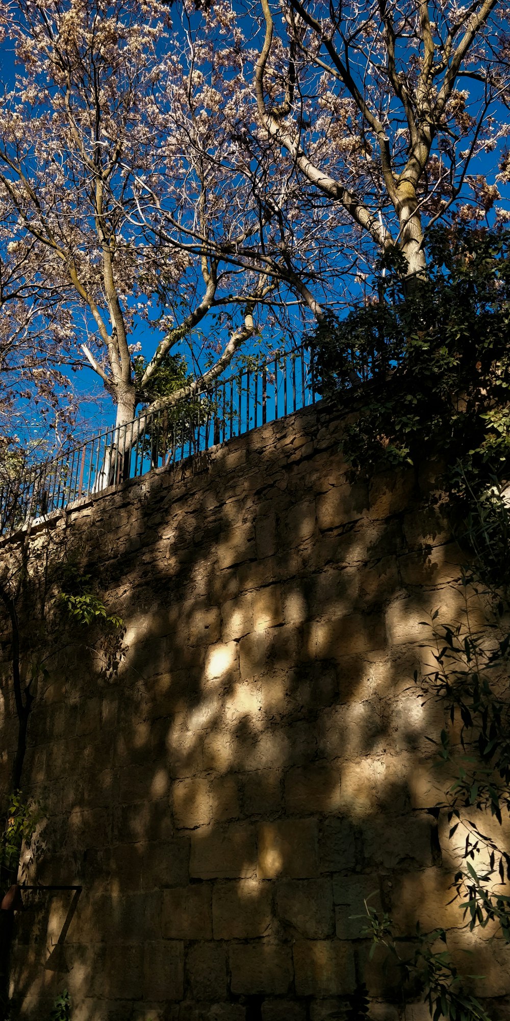 a bench sitting under a tree next to a stone wall