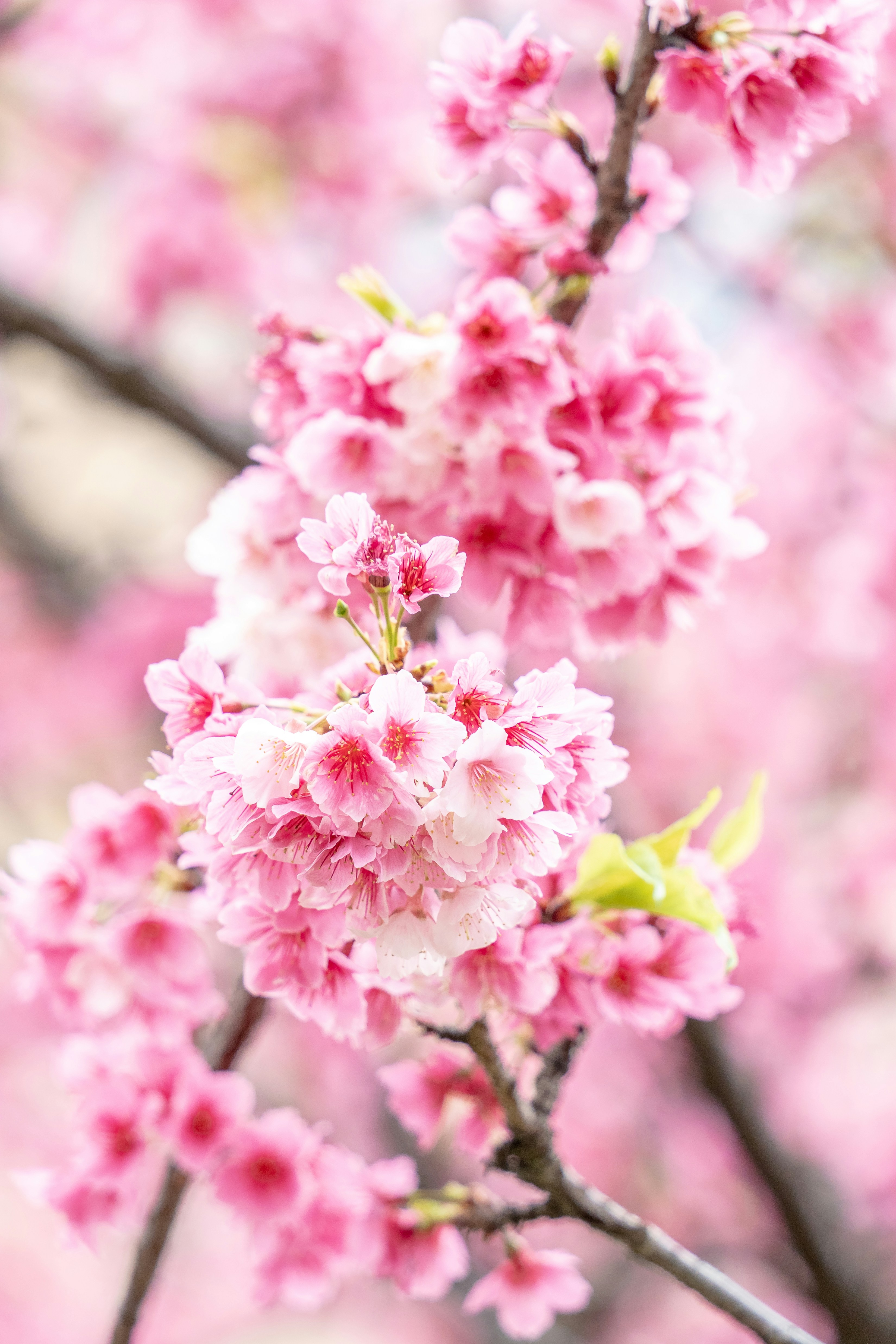 Photo by winstonchen