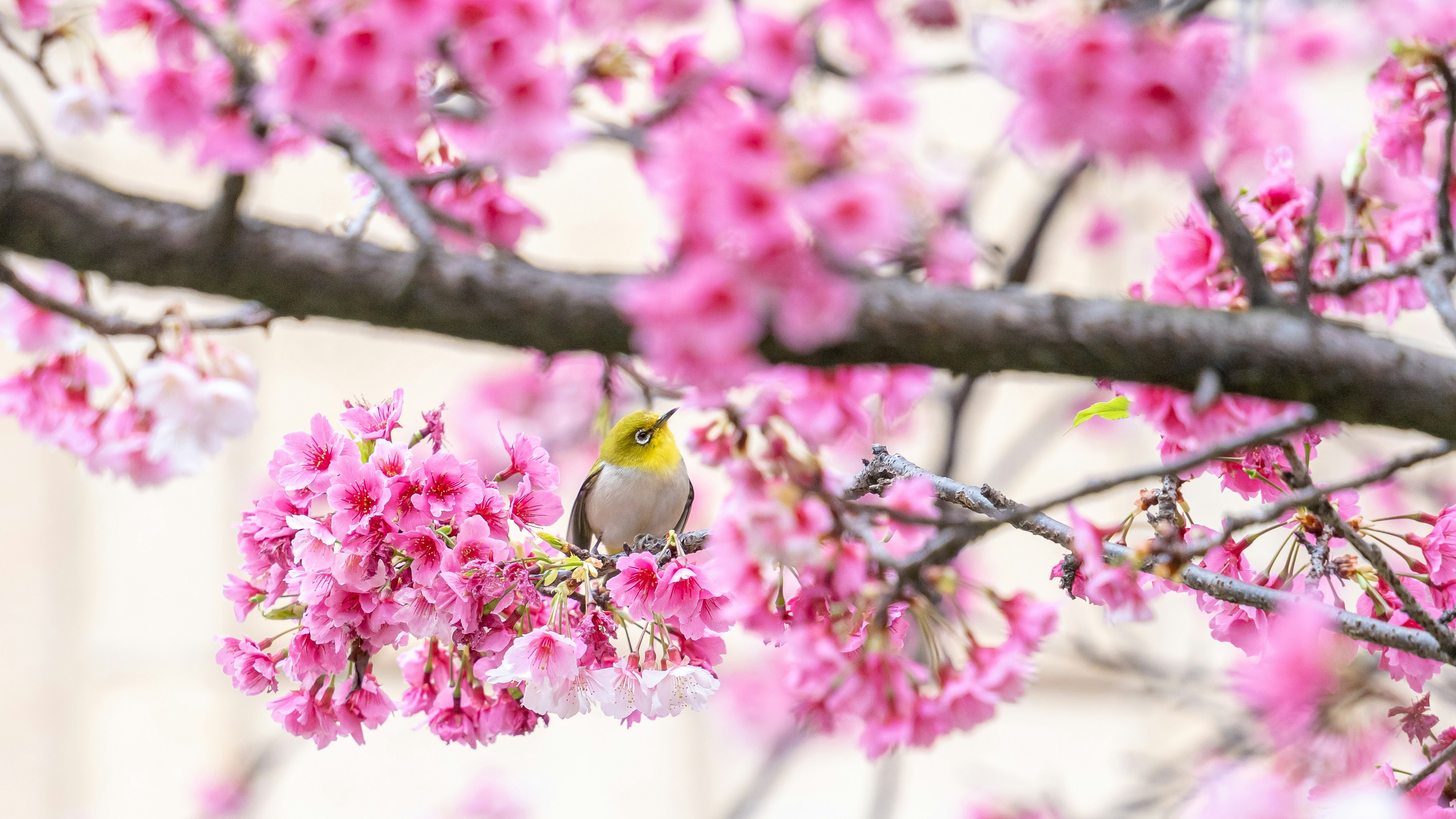 Photo by winstonchen