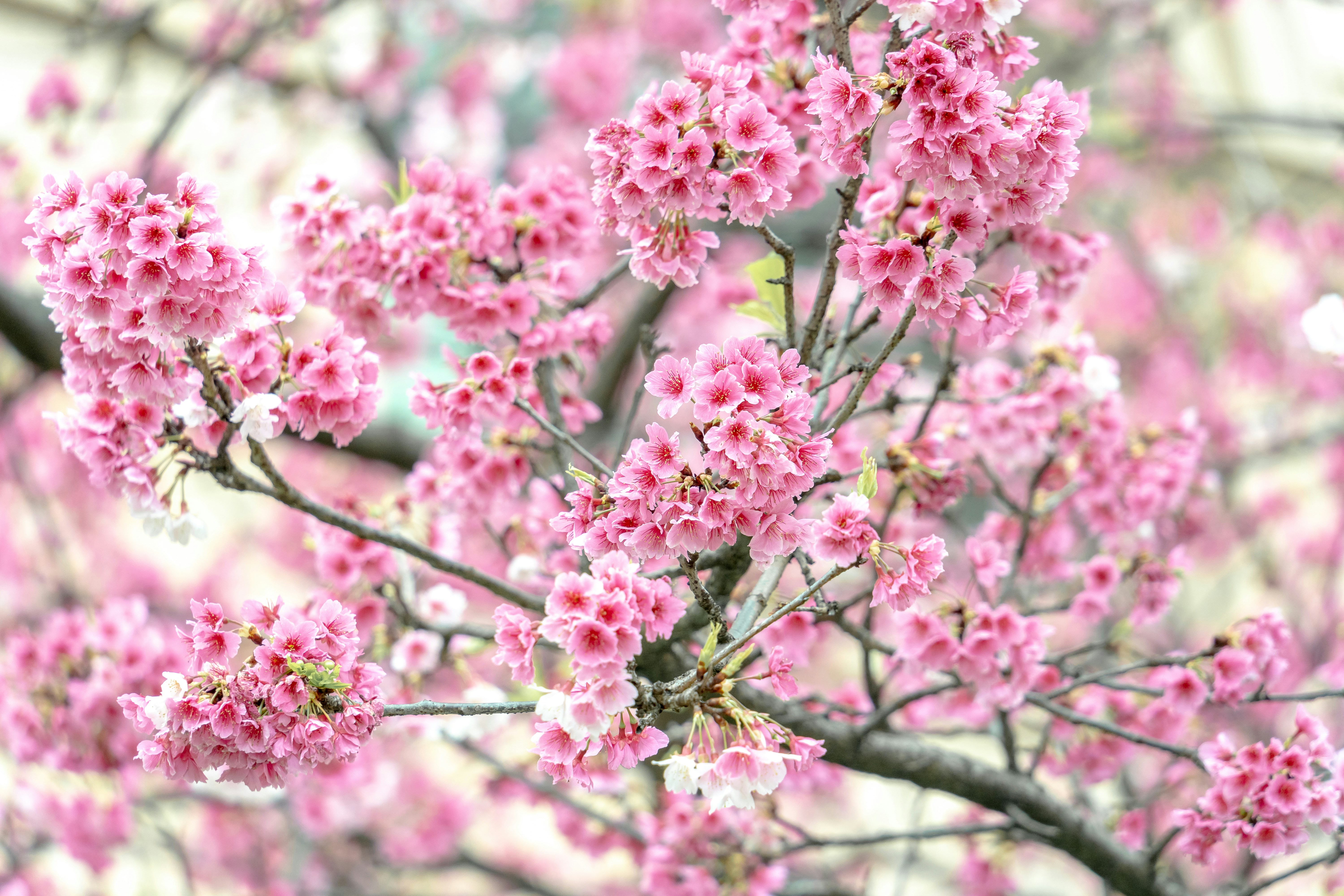 Photo by winstonchen