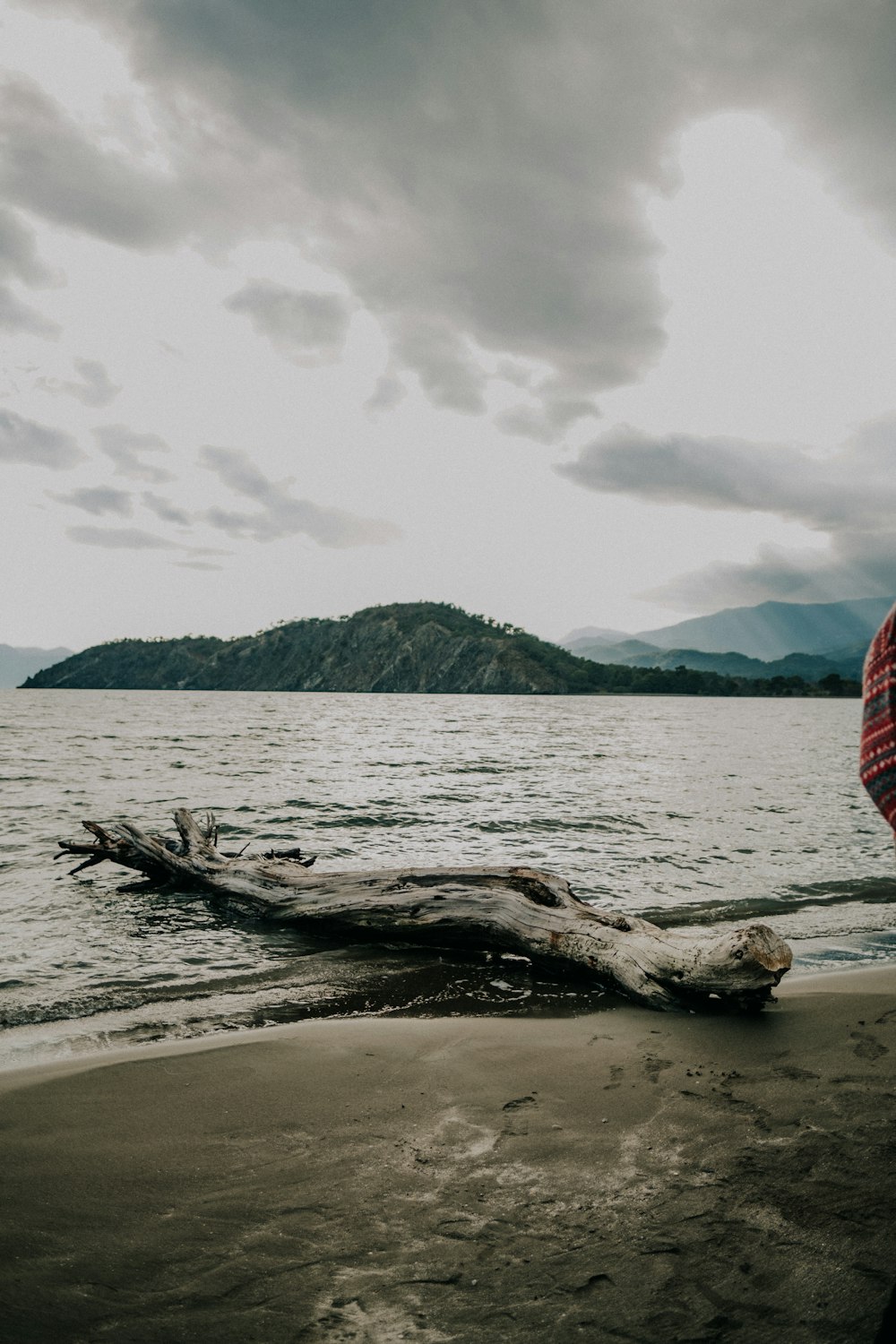 a man standing on a beach next to a large log