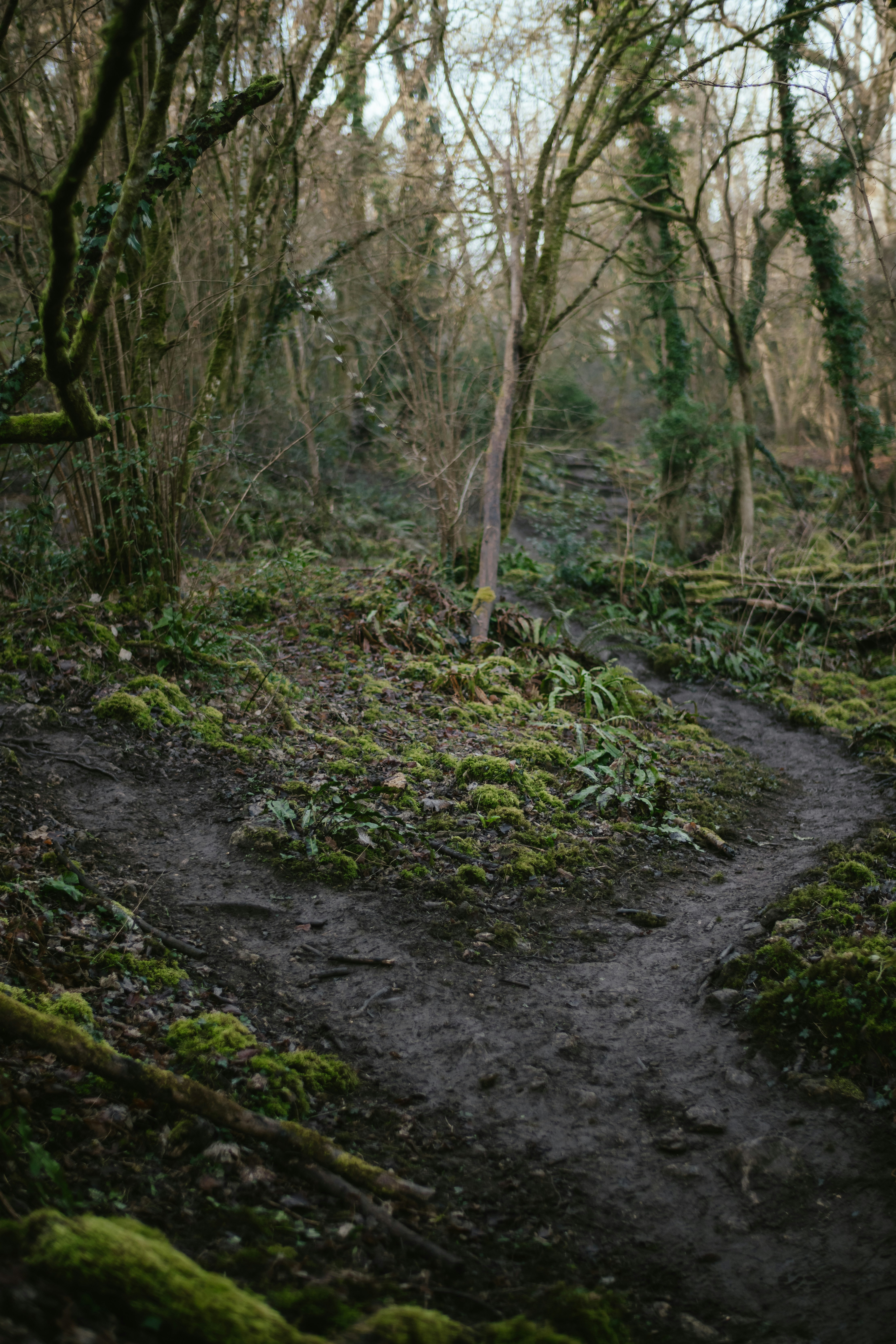 Photo by anniespratt