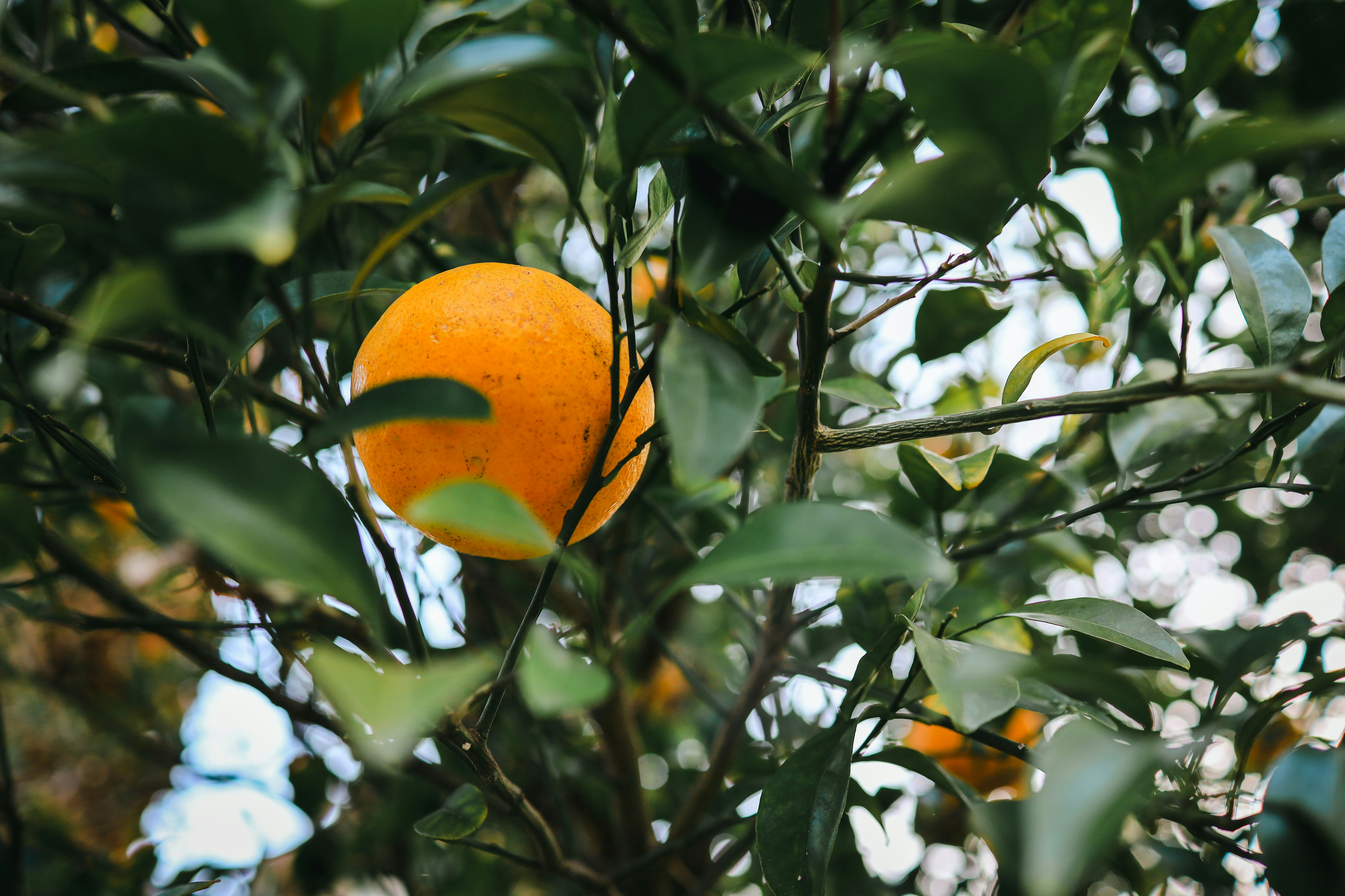 Photo by soflightsto