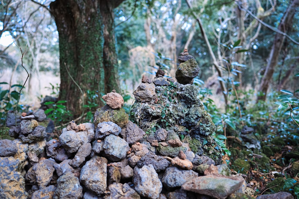a pile of rocks sitting in the middle of a forest
