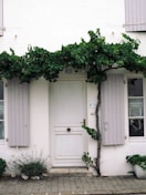 a white building with a white door and window