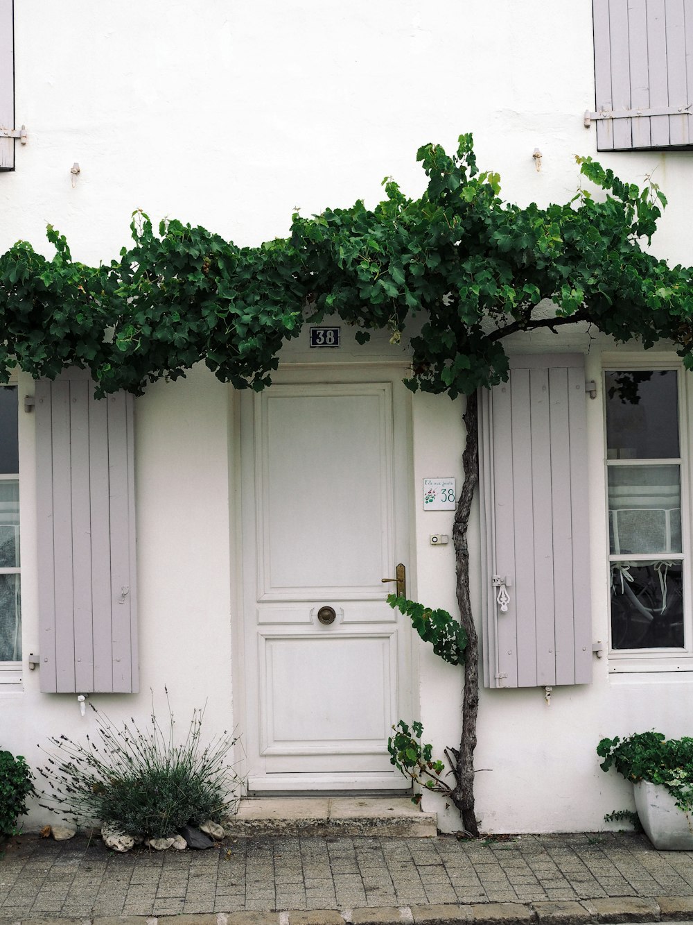 a white building with a white door and window