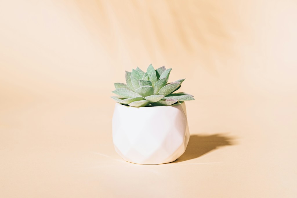 Ribbed Grove Planter