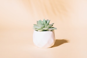 Green Plant Hanger
