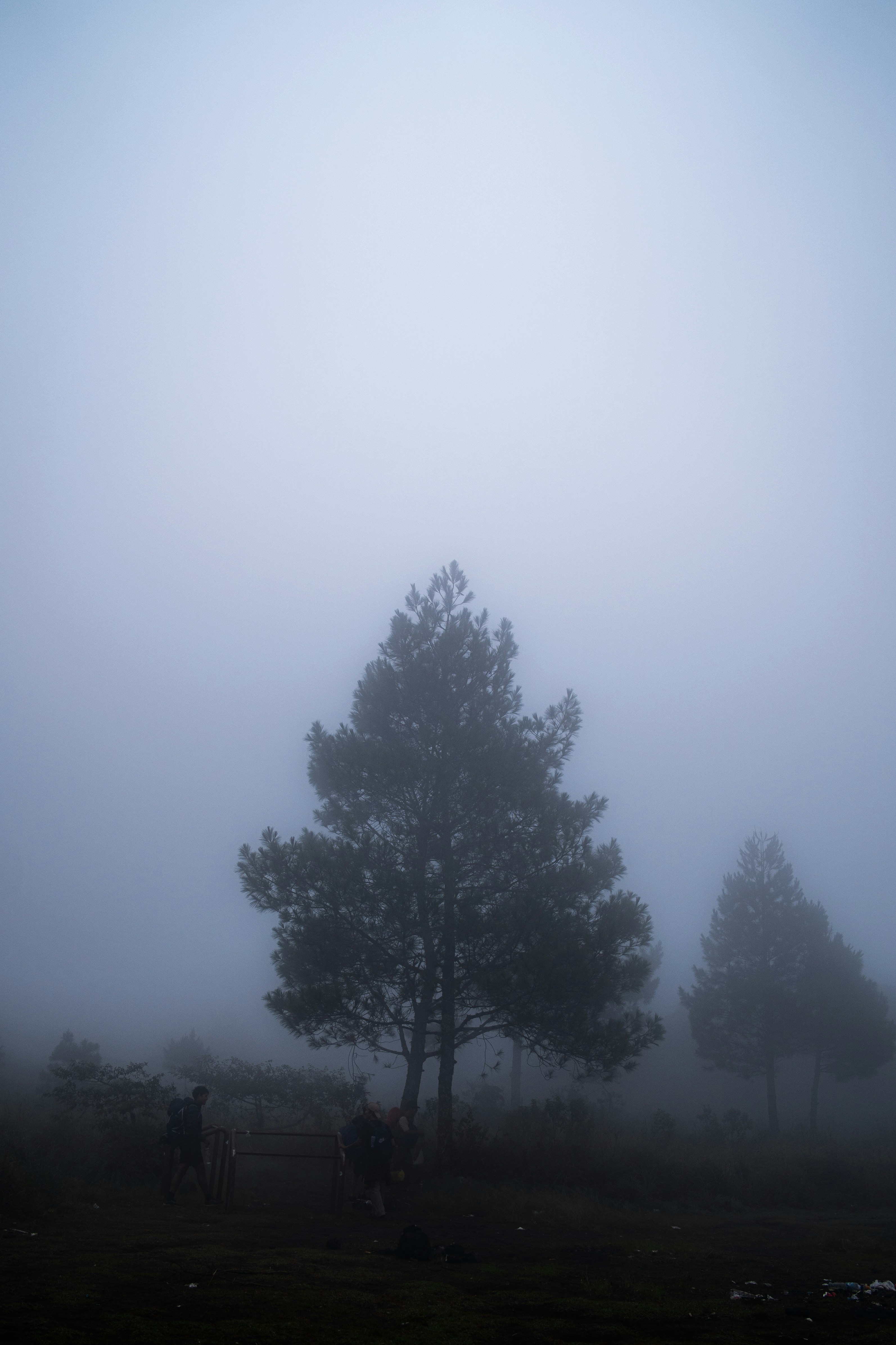 Photo by visualsofdana