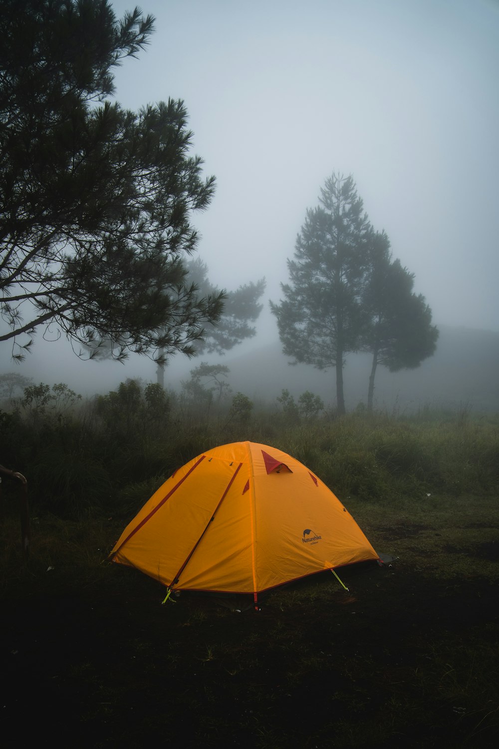 a tent pitched up in the woods on a foggy day