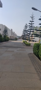 A beautiful upscale residential street lined with trees in western São Paulo.