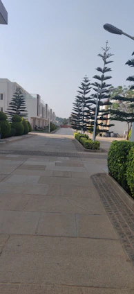 Cozy low-rise residential buildings surrounded by trees in a quiet north zone neighborhood.