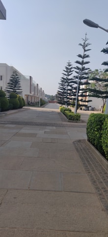 A beautiful upscale residential street lined with trees in western São Paulo.