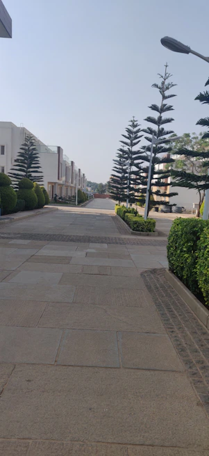 Calle tranquila con aceras amplias y parcelas delimitadas en un barrio exclusivo.