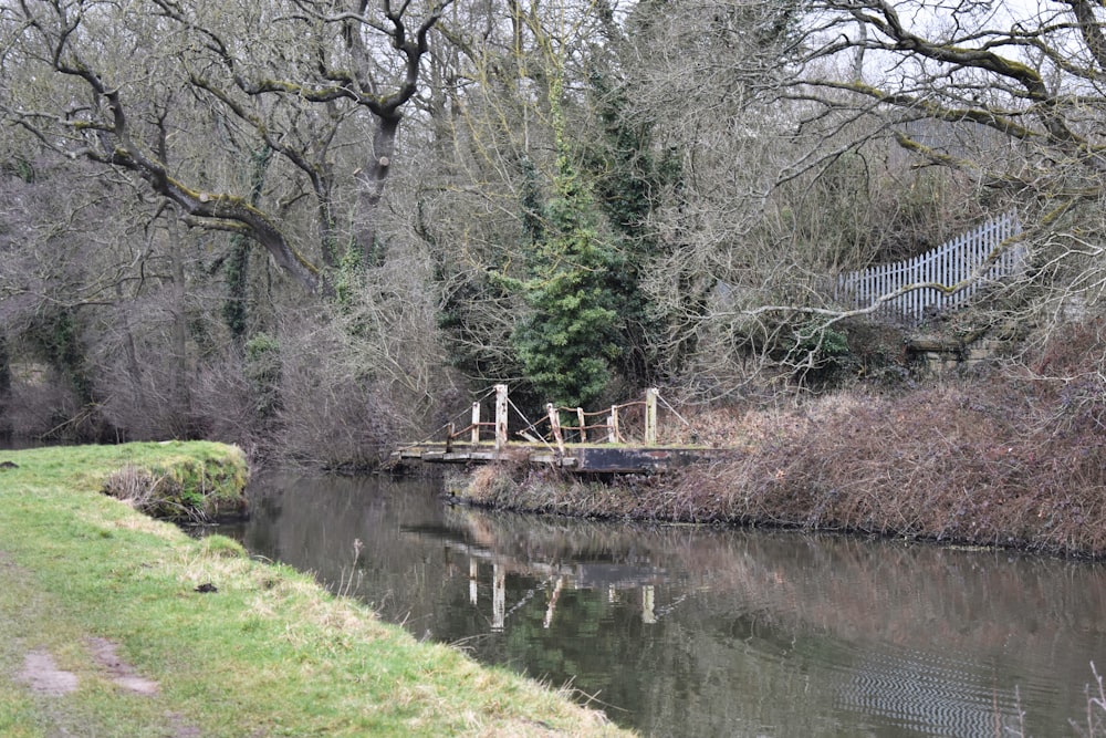 a small bridge over a small river in a park