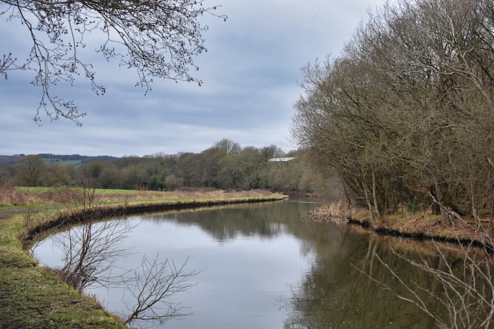 a body of water surrounded by trees and grass