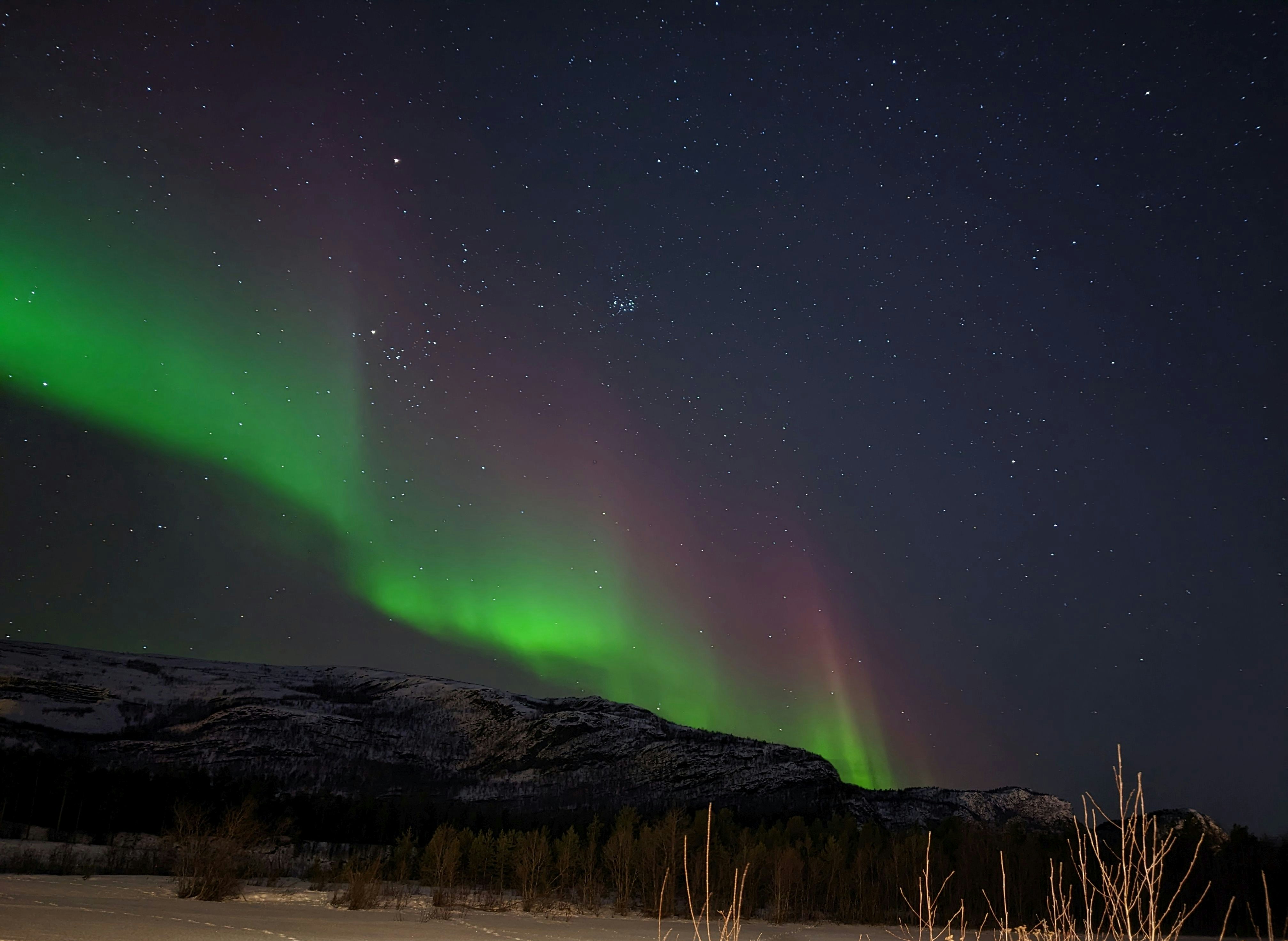Aurora borealis dancing over frozen Arctic tundra, green and violet ribbons in night sky
