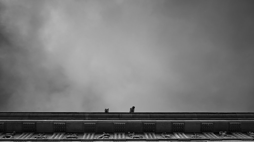 a couple of birds sitting on top of a building